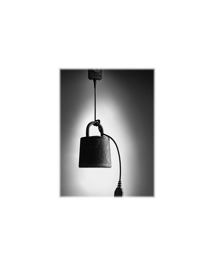 Jabra BIZ 2300 USB MS Duo  Headset  onear  wired  USB