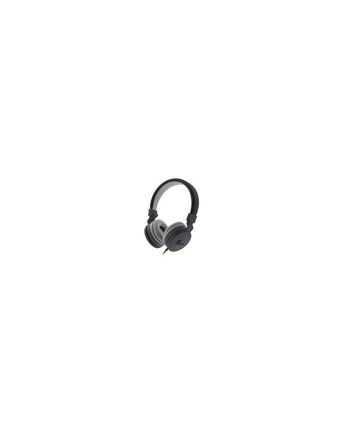 Xtech XTH340 Alloy Headphones with Microphone  Driver unit 40mm   
