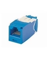 Panduit MINICOM TX6 10Gig  Modular insert  blue  1 port