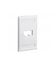 Panduit MINICOM  Faceplate  off white  1gang  2 ports