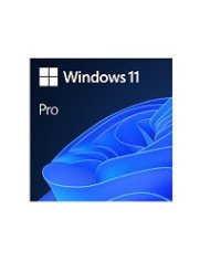 Windows 11 Pro  License  1 license  OEM  DVD  64bit  Spanish