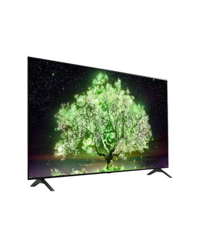 LG OLED55A1PSA  55 Diagonal Class A1 Series OLED TV  Smart TV  web