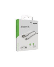 Belkin BOOST CHARGE  Lightning cable  Lightning male to USB male  1