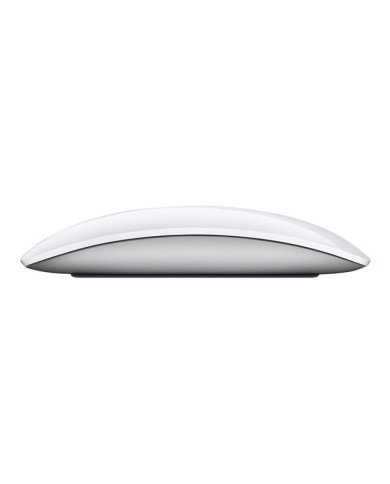 APPLE MAGIC MOUSE