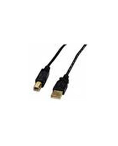 Xtech  USB cable  304 m  4 pin USB Type B  4 pin USB Type A  20