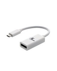 Xtech  Display adapter  USB Type C Male  DisplayPort Female  1