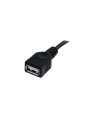 StarTechcom 6 ft Black USB 20 Extension Cable A to A  MF  USB ext