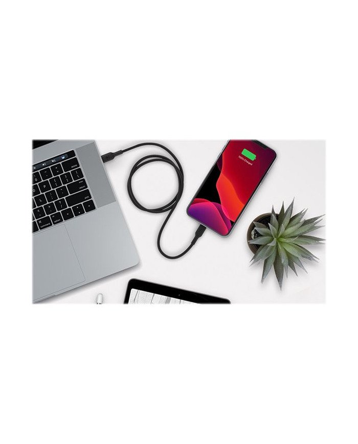 Belkin BOOST CHARGE  Lightning cable  24 pin USBC male to Lightning