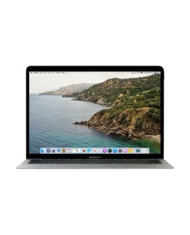 Belkin ScreenForce  Notebook privacy filter  removable  13  for A