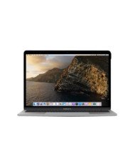Belkin ScreenForce  Notebook privacy filter  removable  13  for A