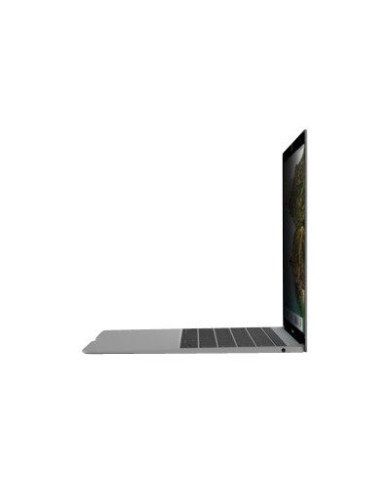 Belkin ScreenForce  Notebook privacy filter  removable  13  for A