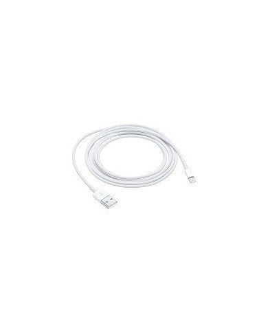 APPLE LIGHTHING TO USB ABLE 2M