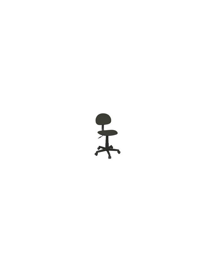 Computer Chair Gray