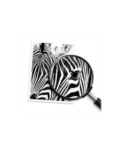 HP 662XL  High Yield  color cyan magenta yellow  original  Ink