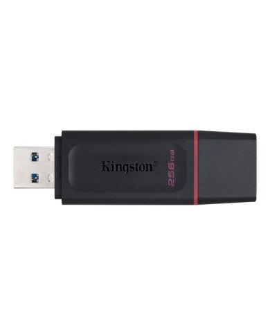 Kingston DataTraveler Exodia  USB flash drive  256 GB  USB 32 Gen 