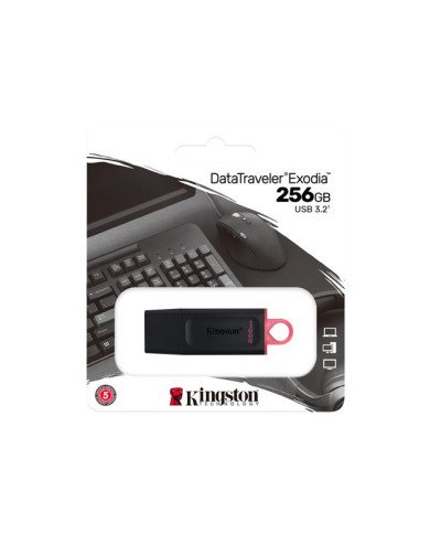 Kingston DataTraveler Exodia  USB flash drive  256 GB  USB 32 Gen 