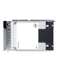 Dell  Customer Kit  SSD  Read Intensive  192 TB  hotswap  25