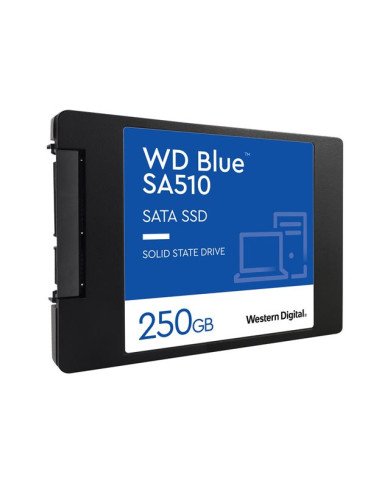 WD Blue SA510 WDS250G3B0A  SSD  250 GB  internal  25  SATA 6Gb