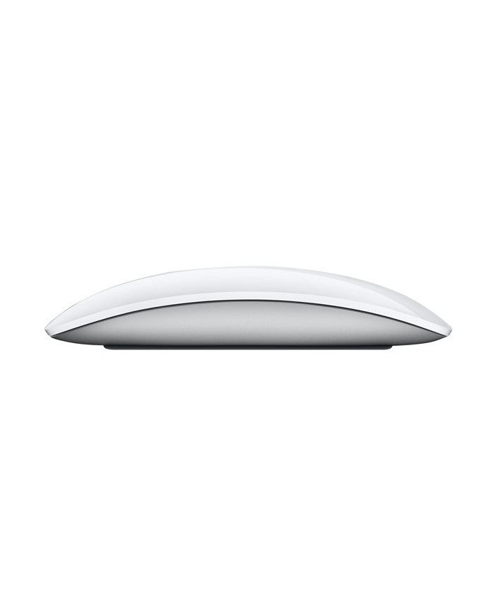 APPLE MAGIC MOUSE