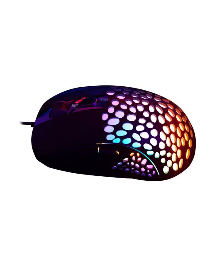 Xtech SWARM XTM910  Mouse  righthanded  optical  6 buttons  wir