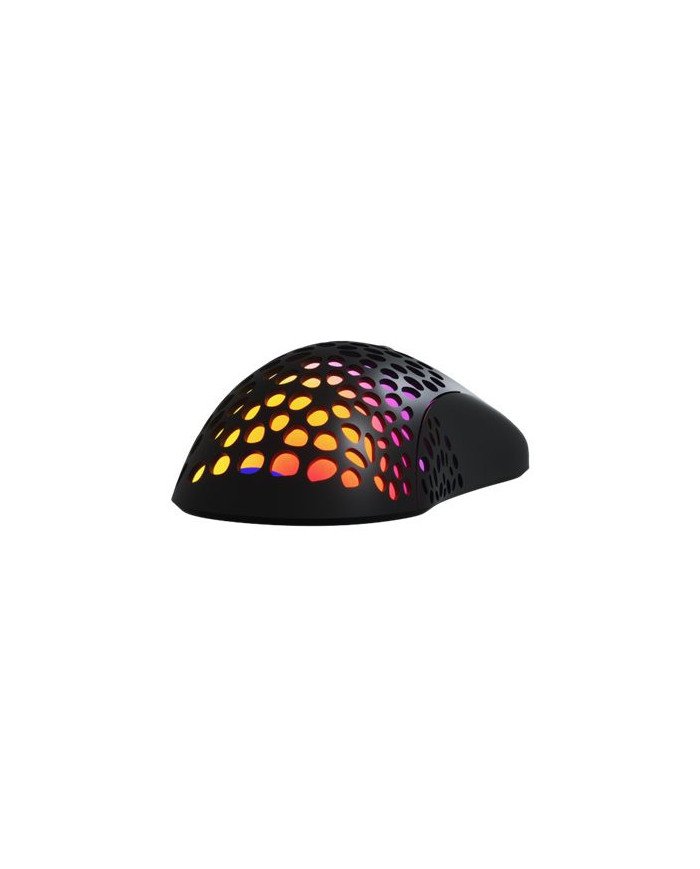 Xtech SWARM XTM910  Mouse  righthanded  optical  6 buttons  wir