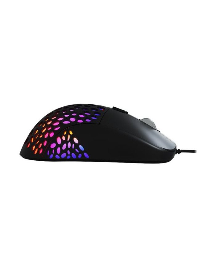 Xtech SWARM XTM910  Mouse  righthanded  optical  6 buttons  wir