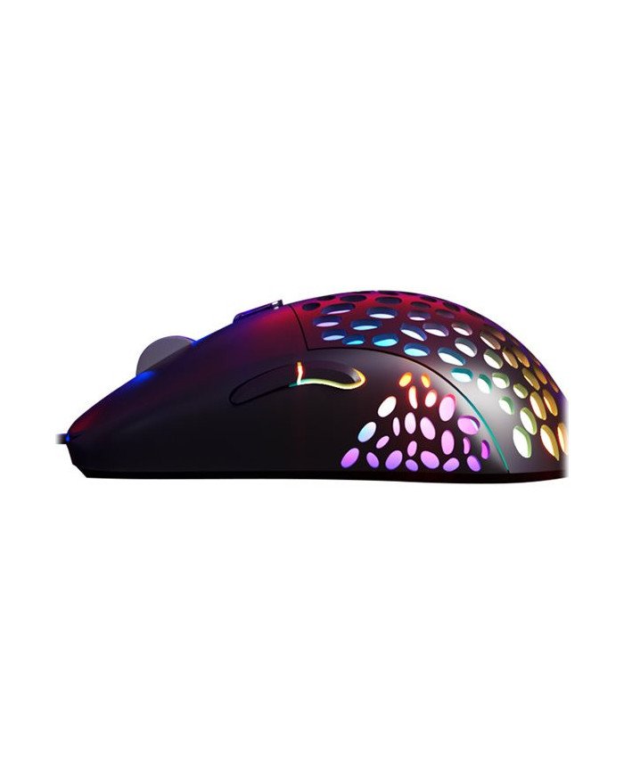 Xtech SWARM XTM910  Mouse  righthanded  optical  6 buttons  wir