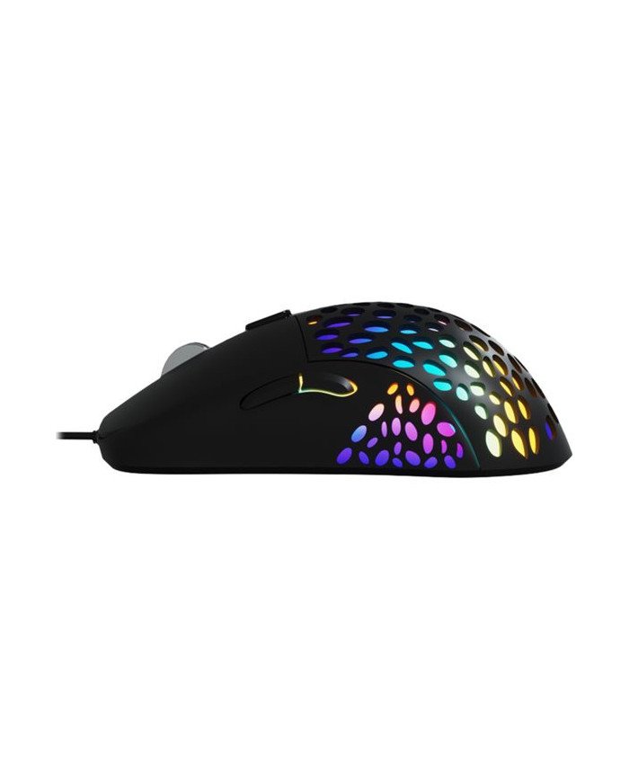 Xtech SWARM XTM910  Mouse  righthanded  optical  6 buttons  wir