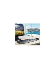 Logitech Wireless Combo MK345  Keyboard and mouse set  wireless  2